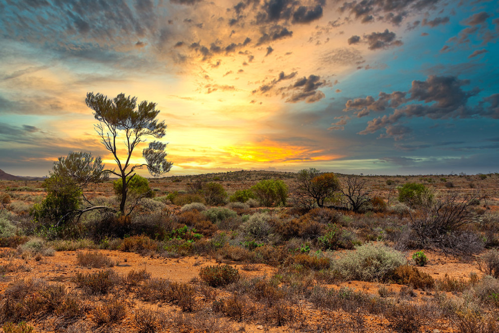 Australian Outback