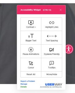 accessibility widget