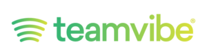 teamvibe logo