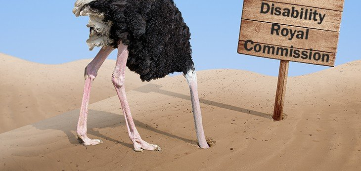 An emu with its head buried in the sand next to a sign with Disability Royal Commission printed on it