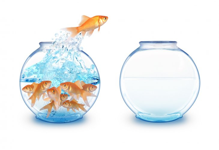 An image of a fish jumping from a crowded fish bowl into an empty one