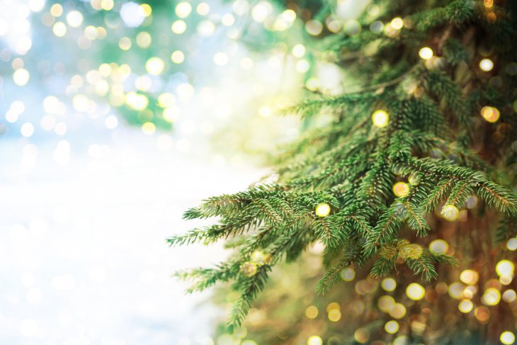 close up of a decorated Christmas tree